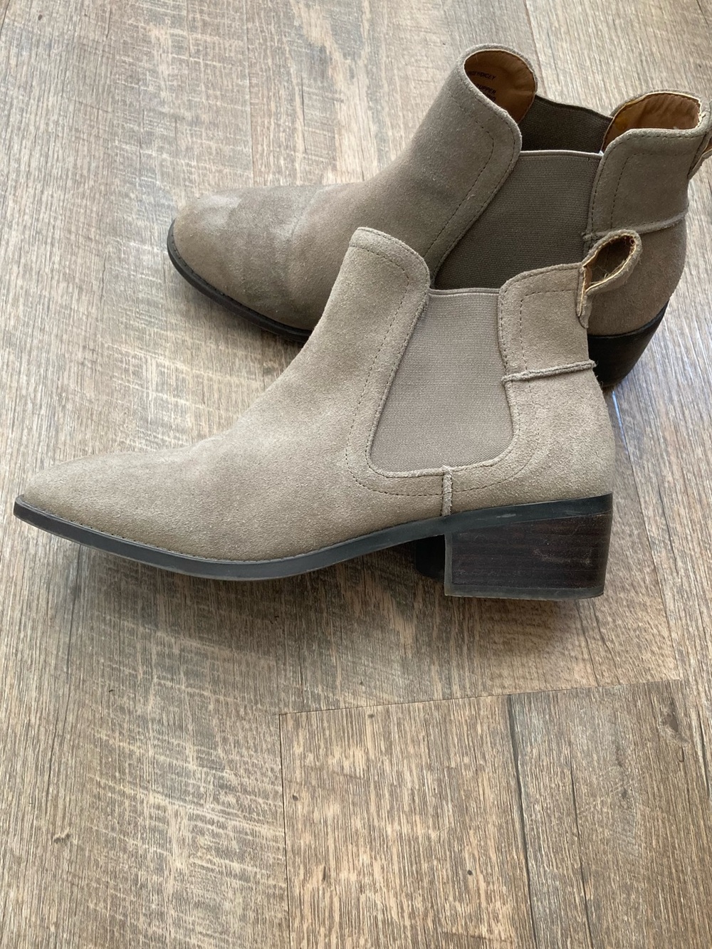Steve Madden | Taupe Suede Chelsea Ankle Boots